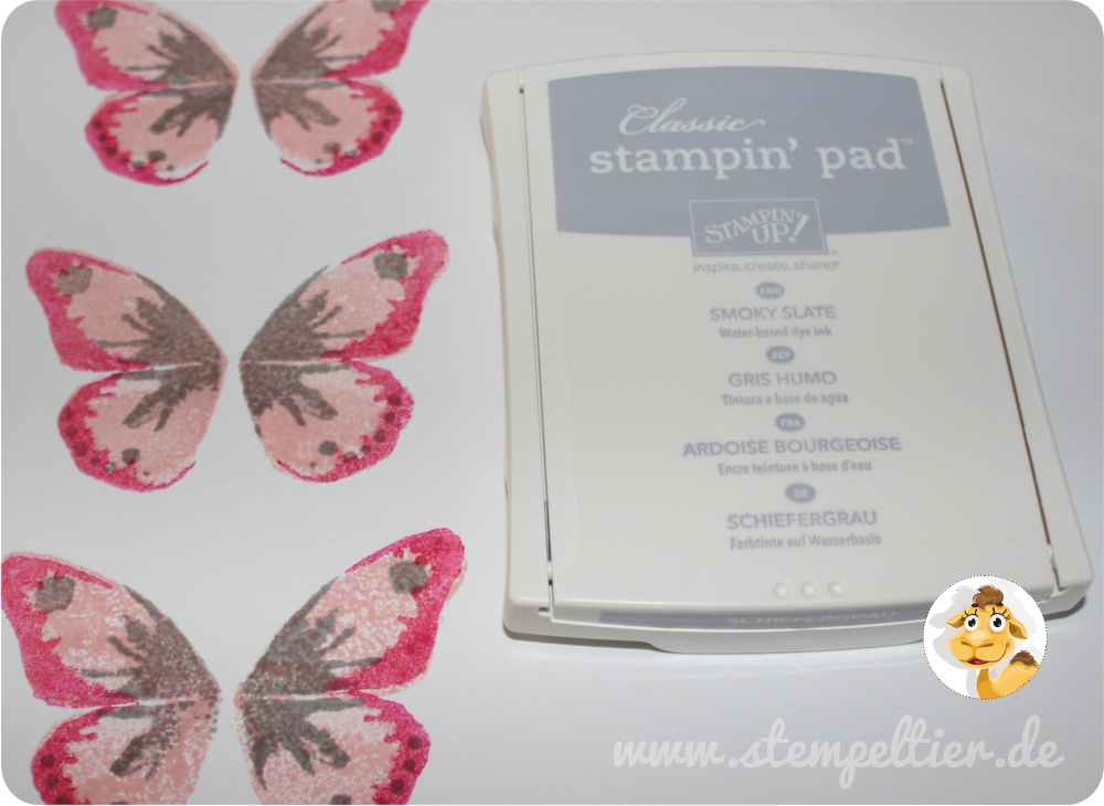 Stampin Up watercolor wings butterflies Schmetterling stempeltier kaufbeuren