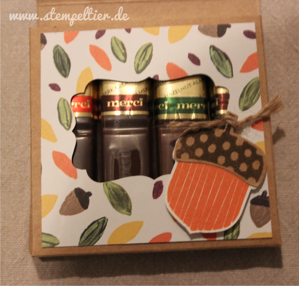 stampin up herbst eichel acorny thanks herbstgrüße workshop autumn fall brush strokes merci verpackung