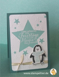 stampin up stempeltier es schneit pinguin penguin snow friends winter stars Stern