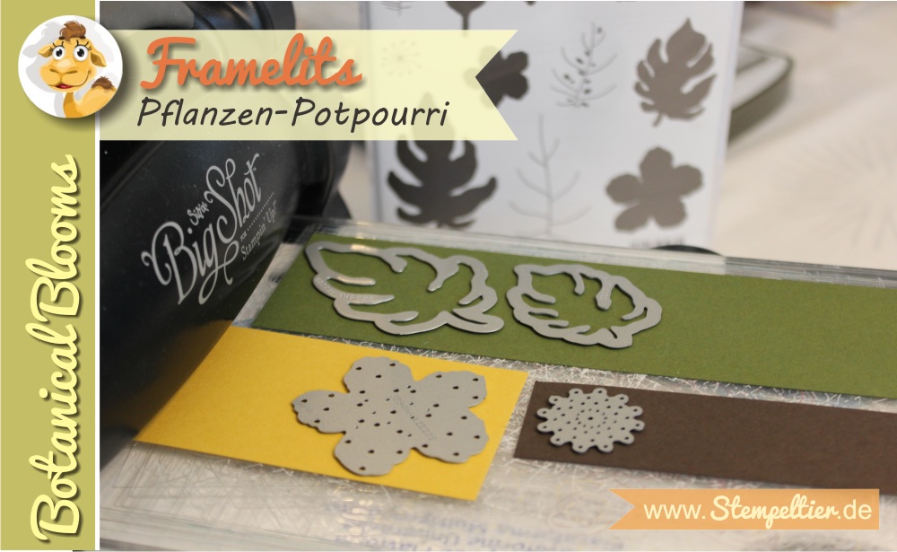 SU stampin up stempeltier botanical blooms botanischer Garten Pflanzen Potpourri sneak peak vorschau onstage DSP Designerpapier