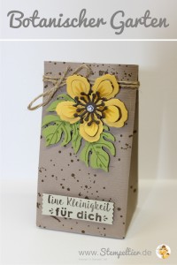 botanischer garten botanical garden frühjahr sommer 2016 stampin up stempeltier geschenktüte falzbrett punchboard verpackung verpacken