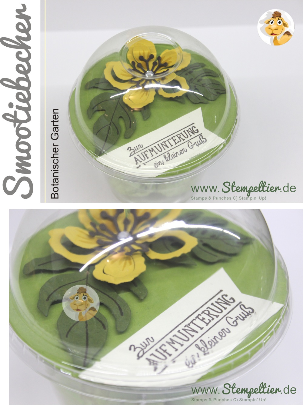 stampin up stempeltier domecup smoothiebecher Dombecher botanischer garten verpackung botanical blooms aufmunterung 