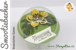 stampin up stempeltier domecup smoothiebecher Dombecher botanischer garten verpackung botanical blooms aufmunterung