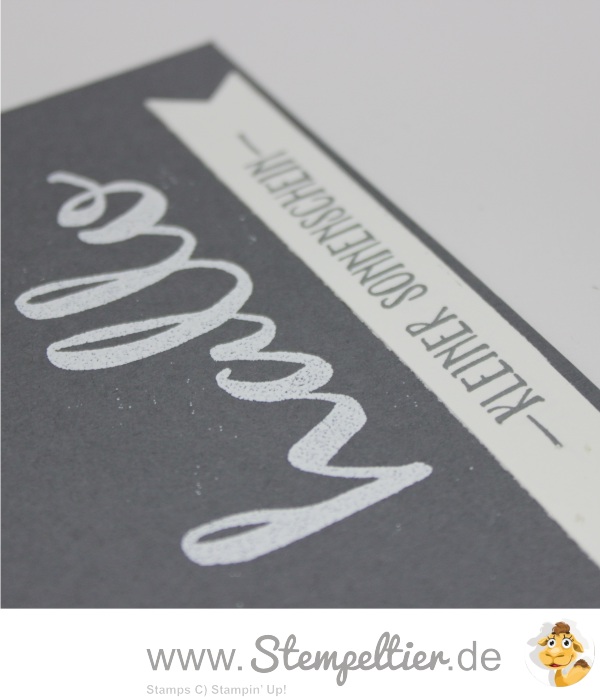 stampin up stempeltier Partyballons_Hase_Luftballons_Hallo SAB Frühjahr Sommerkatalog 2016 vorschau saleabration hello