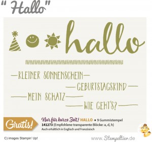 hallo stampin up SAB sale a bration 2016 flugzeug