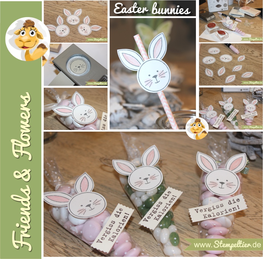 stampin up friends and flowers hase ostern easter bunny tüte Polka Dot Cone Cellophane Bags verpackung anleitung