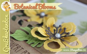 stampin up botanical blooms botanischer garten grußkarte geschenkbox 1