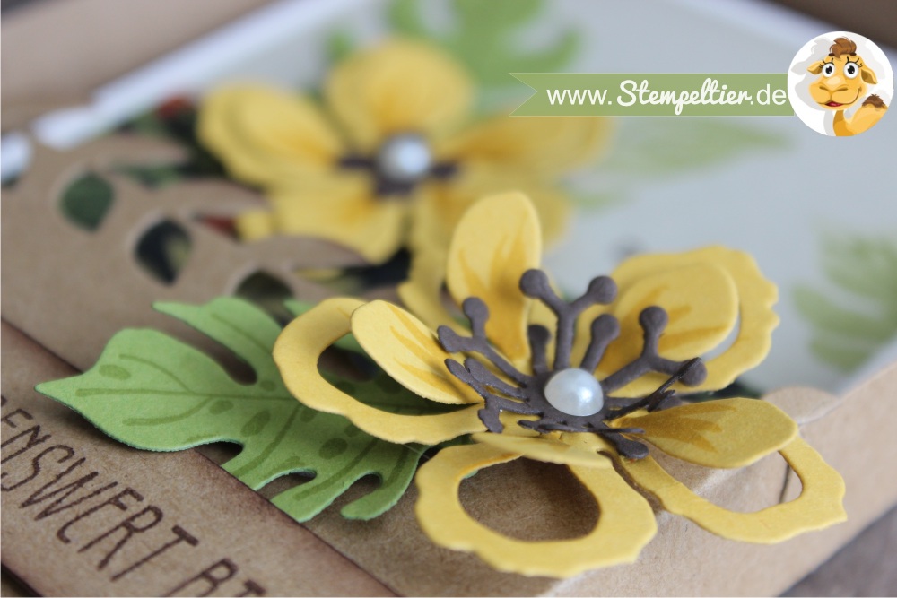 stampin up botanical blooms botanischer garten grußkarte geschenkbox anleitung tororial video