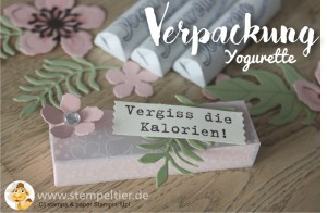 2016 yogurette Verpackung anleitung tutorial stampin up stempeltier botanical blooms box chocolate goodie verpacken