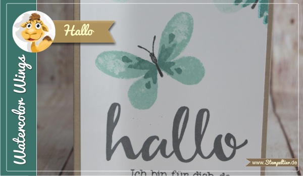 hallo watercolor wings onstage 2016 zeitvertreib stampin up stempeltier watercolor wings hallo gemeinsam stark