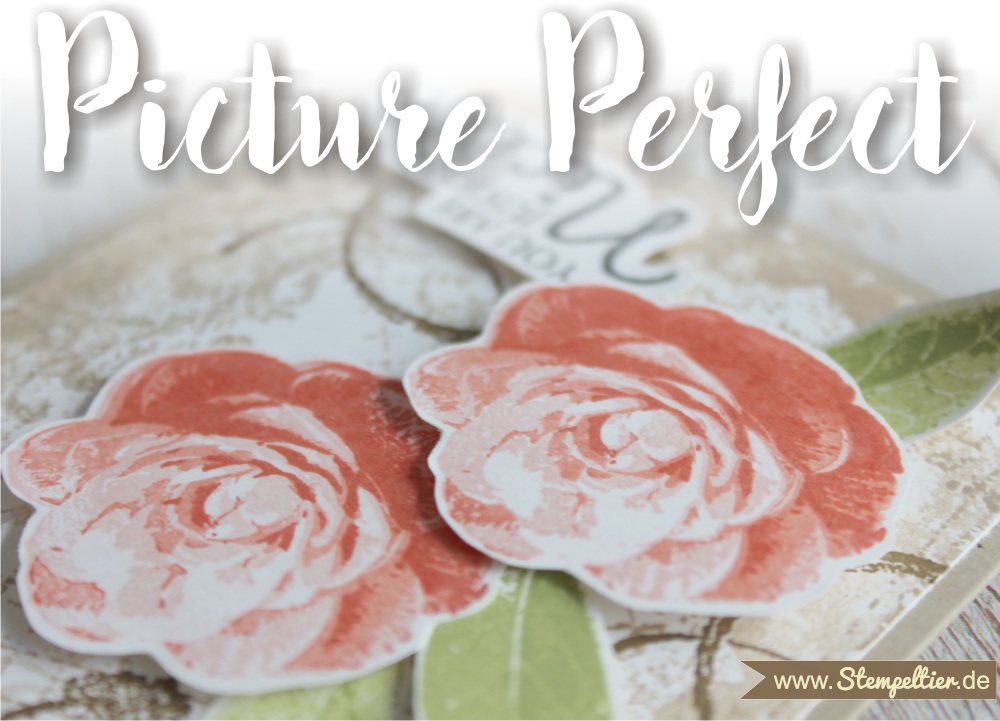 picture perfect timeless textures Rosen roses stempeltier grußkarte geburtstag you are just the nicest 2 step stamping technique 1