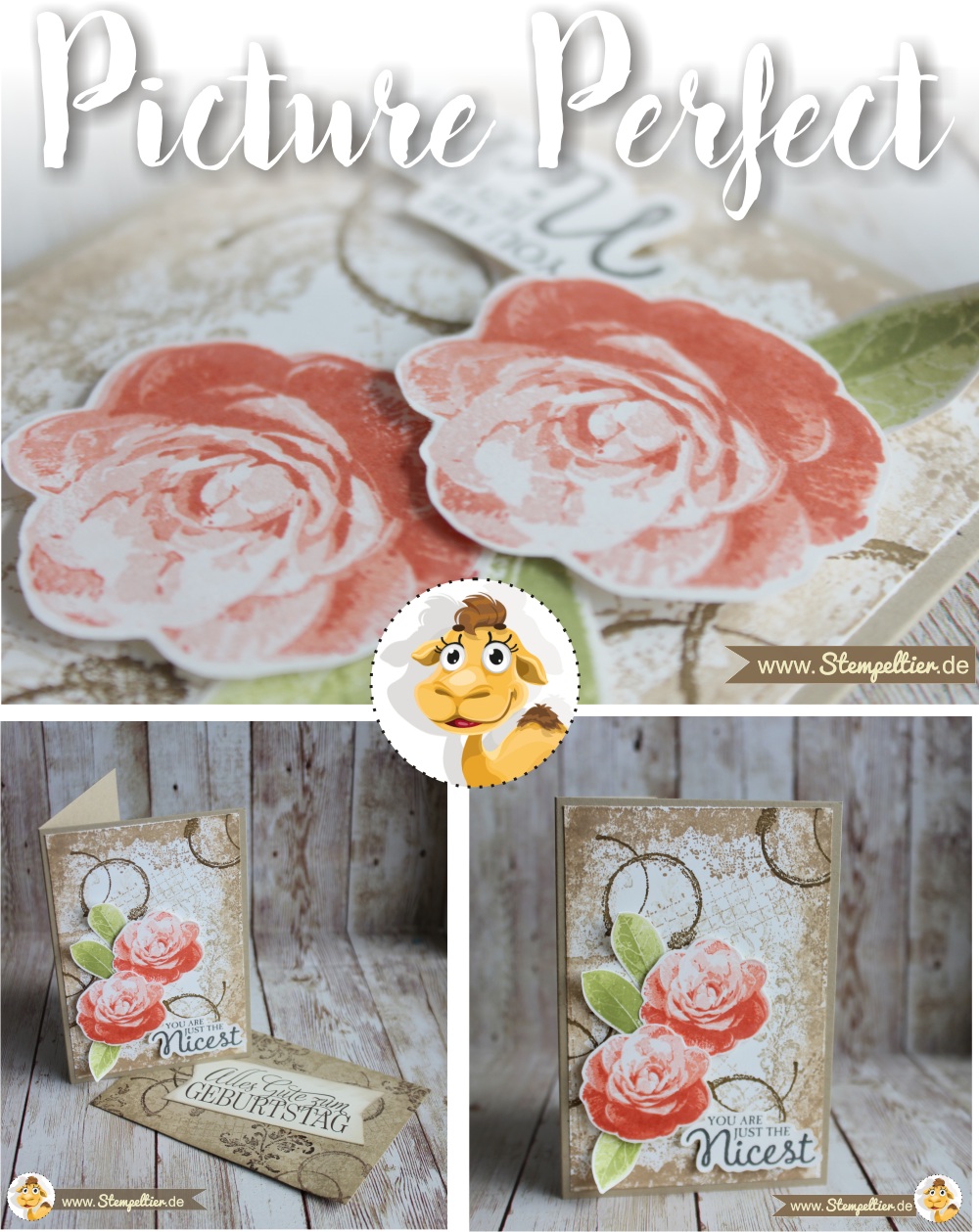 picture perfect timeless textures Rosen roses stempeltier grußkarte geburtstag you are just the nicest 2 step stamping technique