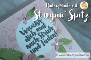 stampin up technik anleitung how to stampin spritz colorieren stempeltier4