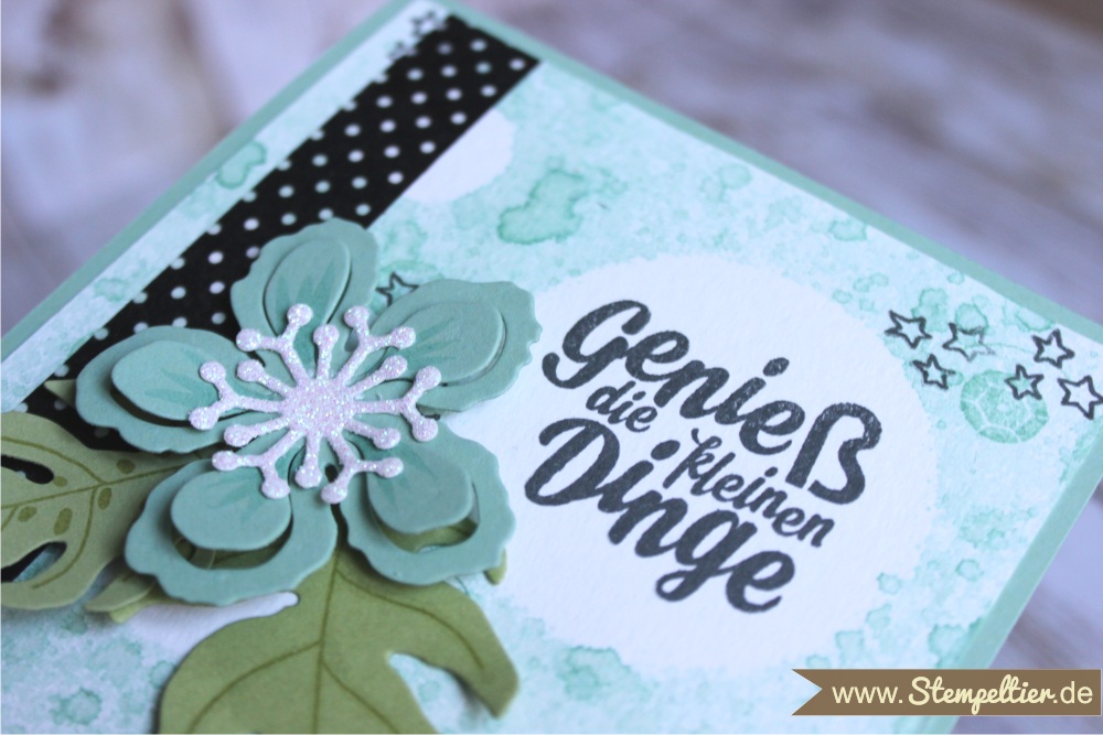 stampin up botanical builder blooms botanischer garten blumen blätter genieß die kleinen dinge stempeltier 1