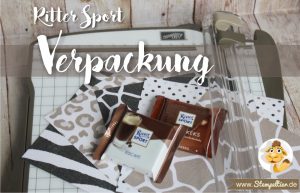 stampin up verpackung ritter sport EPV envelope punch board Umschlag falzbrett Anleitung tutorial maße stempeltier einfach tierisch