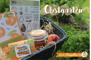 Obstgarten Geschenkkorb von Stampin Up mit Fresh Fruit in Pfirsich Pur peekaboo peach made by Stempelteri