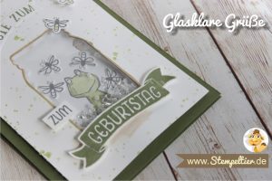 schüttelkarte vom Stempeltier mit glasklare Grüße und Love you lots Frosch von Stampin Up everyday Jars framelits