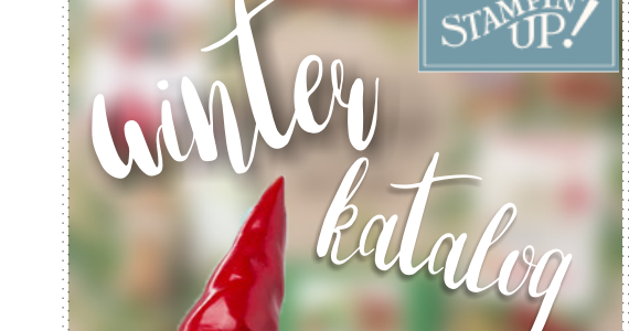 Stampin‘ Up! Winterkatalog 2016 Vorbestellung