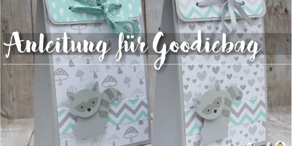 Goodiebag mit Waschbär