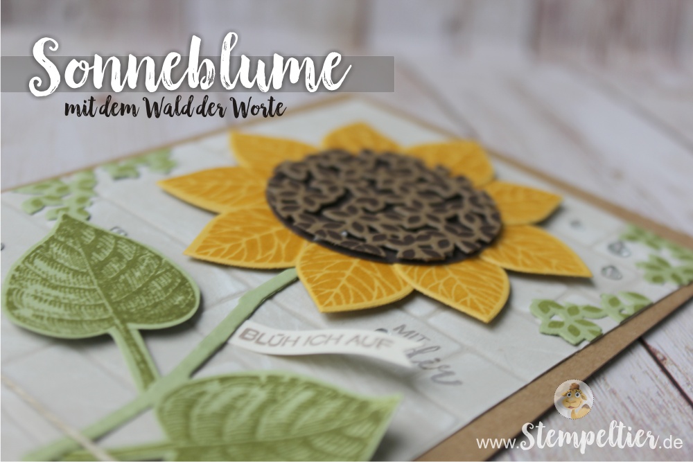 stampin Up summerfeeling bloghop thoughtful branches stempelnd durchs jahr stempeltier sonnenblume wald der worte sunflower