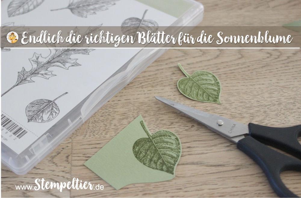 stampin Up thoughtful branches vintage leaves stempeltier sonnenblume wald der worte sunflower