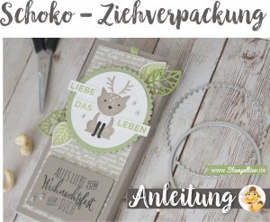 Anleitung für schokolade lindt verpacken verpackung Ziehverpackung geschenk mitbringsel stampin up stempeltier