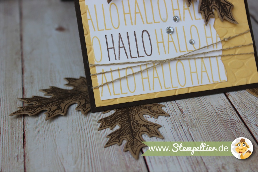 hallo-gute-laune-gruesse-kartenset-stampin-up-vintage-leaves-herbst-stempeltier