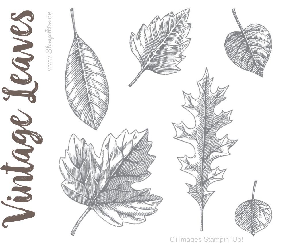 vintage leaves leaflets by stampin up herbst herbstblaetter laub stempeltier