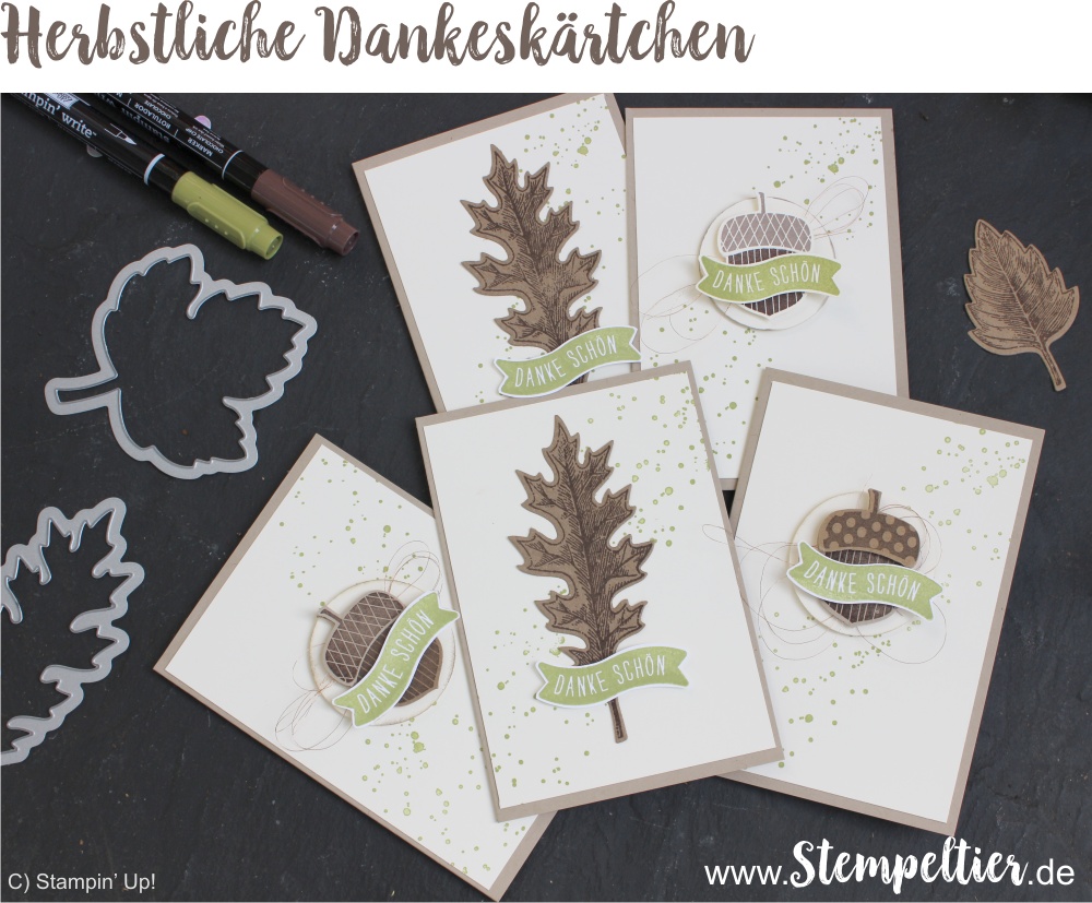 stampin-up-acorny-thank-you-vintage-leaves-leaflets-herbstgruesse-eichel-herbst-fall-thank-you-danke-customer-appreciation-cards-by-stempeltier-framelits-formen-laub