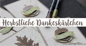 stampin-up-acorny-thank-you-vintage-leaves-leaflets-herbstgruesse-eichel-herbst-fall-thank-you-danke-customer-appreciation-cards-by-stempeltier-kunde