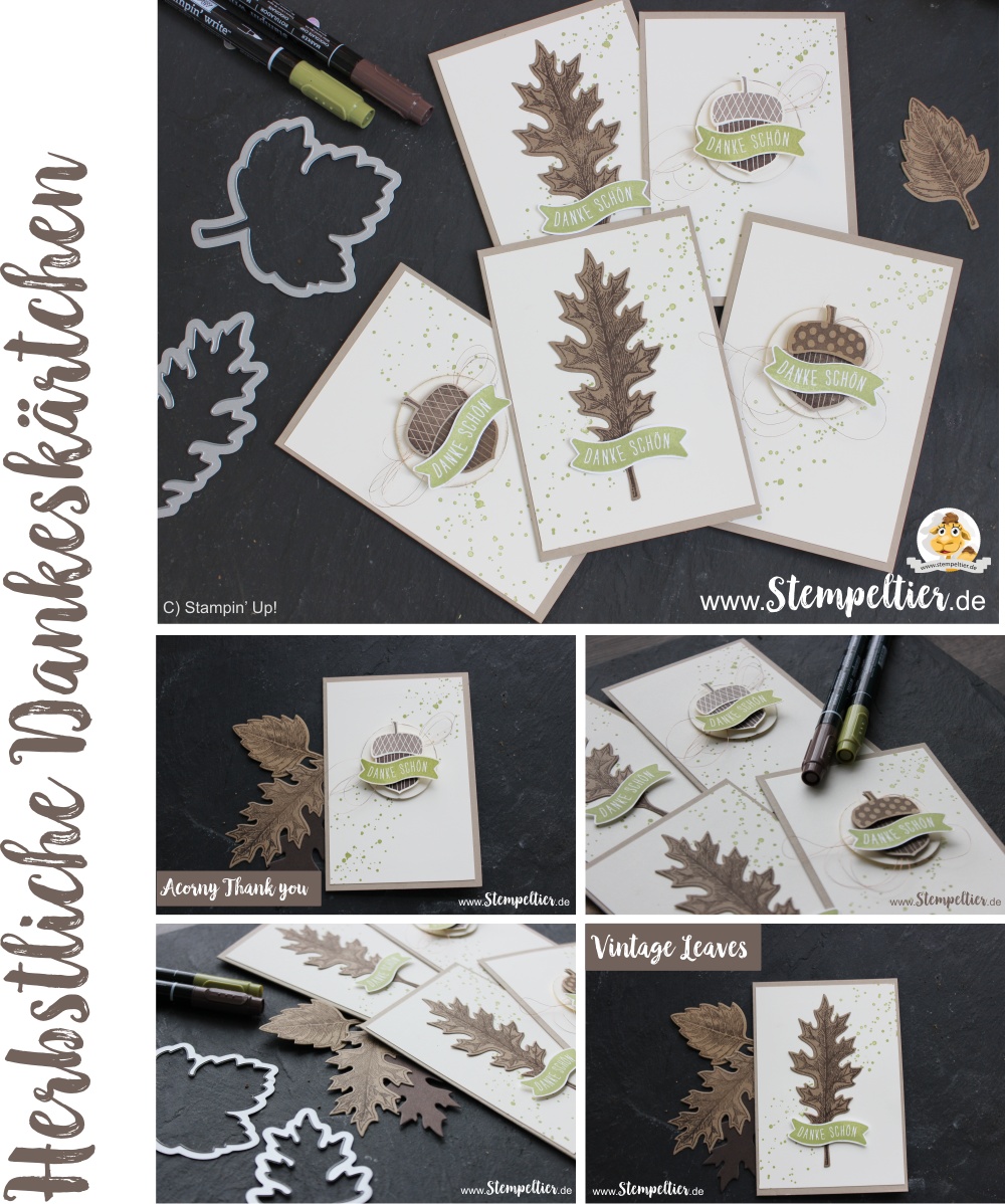 stampin-up-acorny-thank-you-vintage-leaves-leaflets-herbstgruesse-eichel-herbst-fall-thank-you-danke-customer-appreciation-cards-by-stempeltier laub