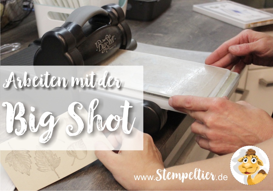 stampin up blog workshop bigShot beim Stempeltier kaufbeuren kempten landsberg