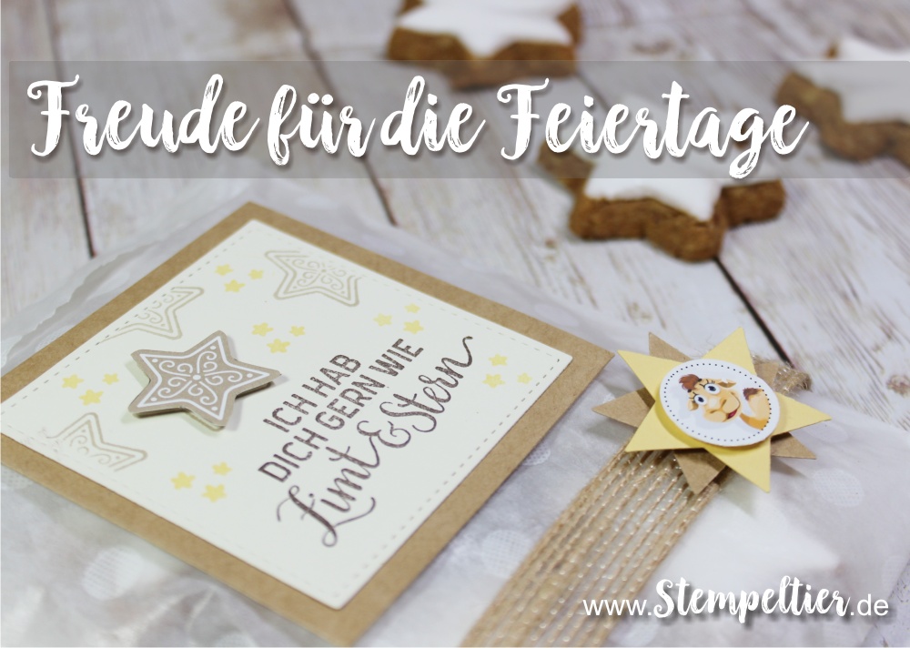 stampin up blog freude für die feiertage weihnachten verpacken zimt stern plätzchen verpacken stempeltier geschenk