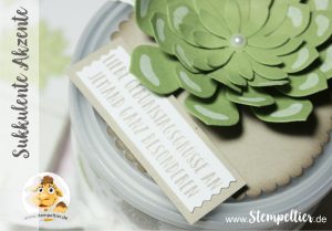 stampin up blog sukkulente akzente sukkulenten oh so succulent stempeltier 2017 occasions frühjahr sommerkatalog 2017