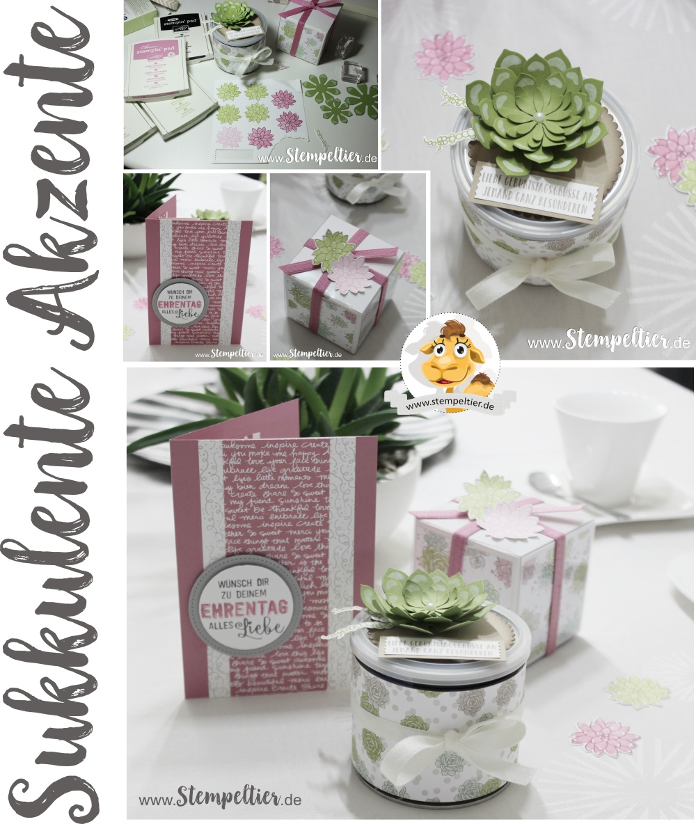 stampin up blog sukkulente akzente sukkulenten oh so succulent stempeltier 2017 occasions