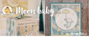 stampin up moon baby birth geburt verpackung geschenk cupcakes und karrussels Stempeltier demo werden