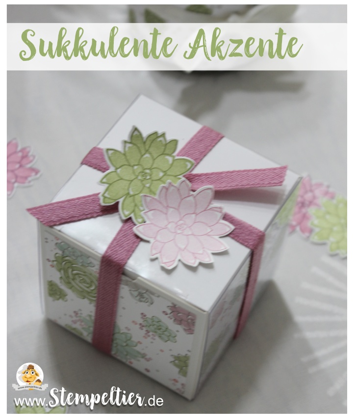stampin up sukkulente Akzente succulent frühjahr sommerkatalog 2017 stempeltier geburstag geschenk verpackung