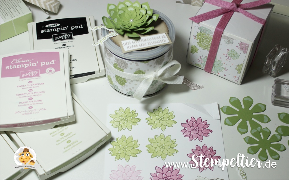 sukkulente akzente so succulent frühjar somer 2017 stampin up blog stempeltier Sukkulenten blumen SAB