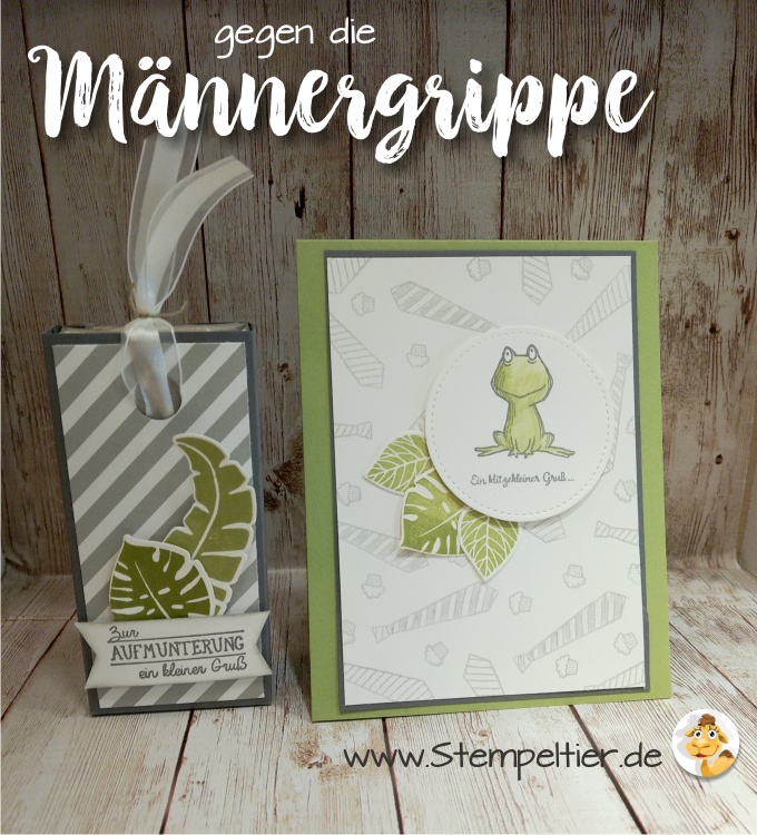 stampin up blog männerkarte loveyoulots frosch männergrippe gute besserung