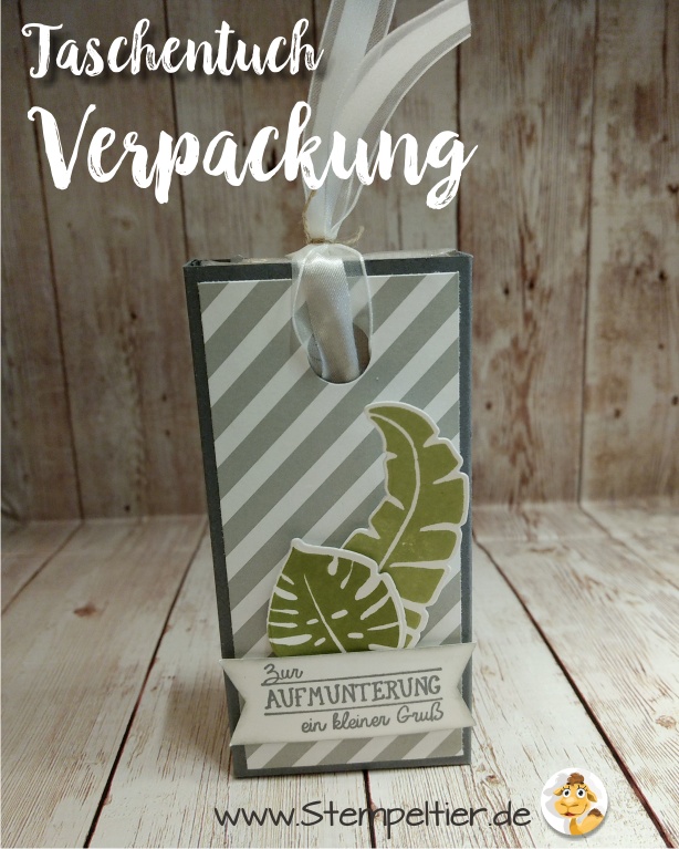 stampin up blog männerkarte loveyoulots frosch männergrippe taschentuch verpackung ziehverpackung tempo