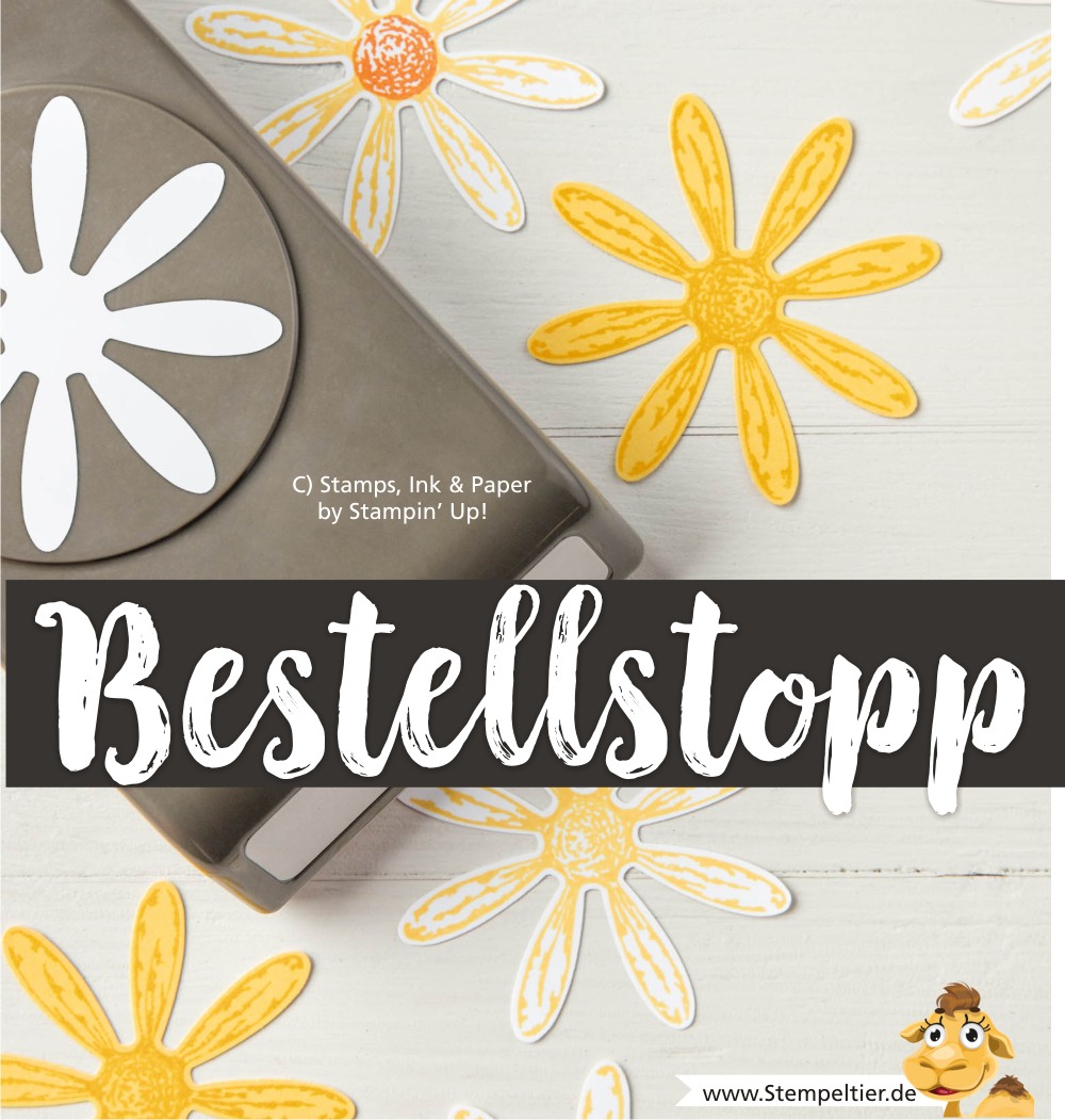 bestellstopp nicht lieferbar stampin up blog gänseblümchen stanze daisy delightful punch stempeltier