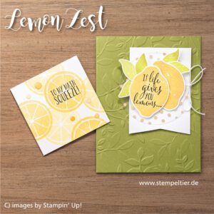 lemon zest stampin up zitrone stanze limette stempeltier