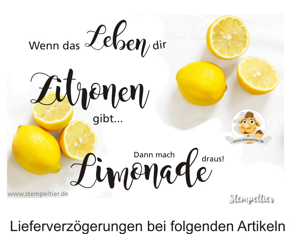 limone zitrone lemon zest stampin up when life gives you lemons wenn das leben dir zitronen gibt limonade