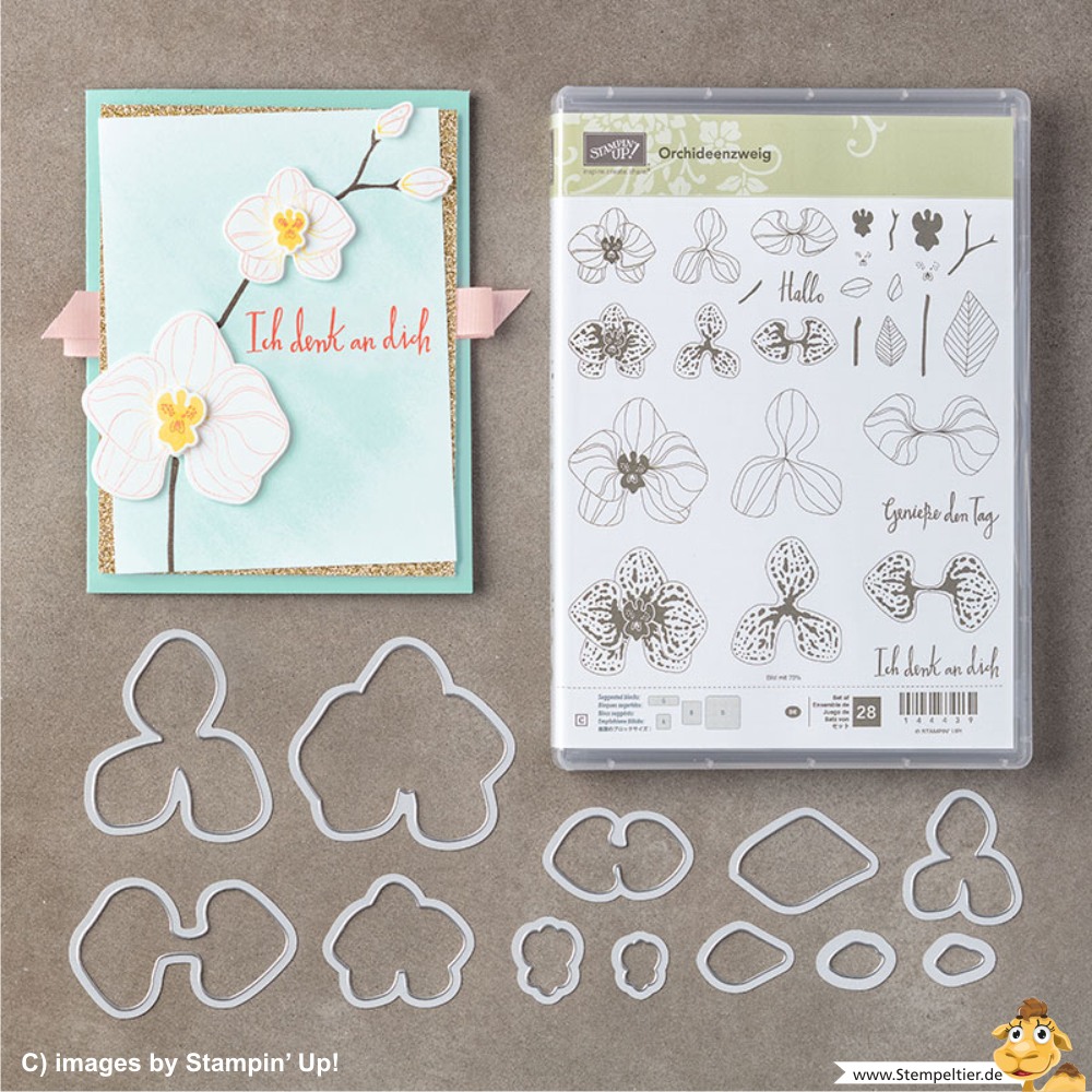 stampin up blog climbing orchid orchideenzweig orchideen sparpaket bestellen