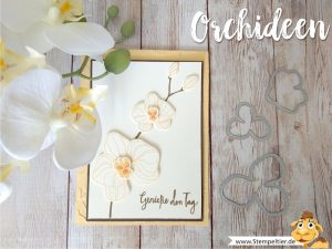 stampin up blog orchideen climbing orchid orchideenzweig orchid builder stempeltier