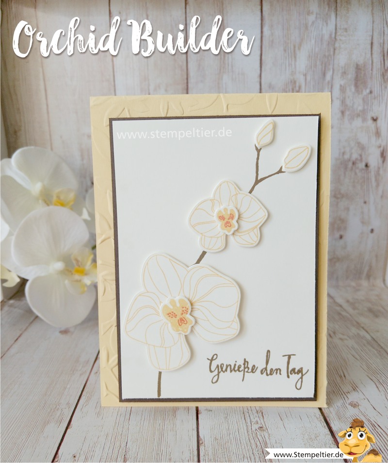 stampin up blog orchideen climbing orchid orchideenzweig orchid builder stempeltier blumen