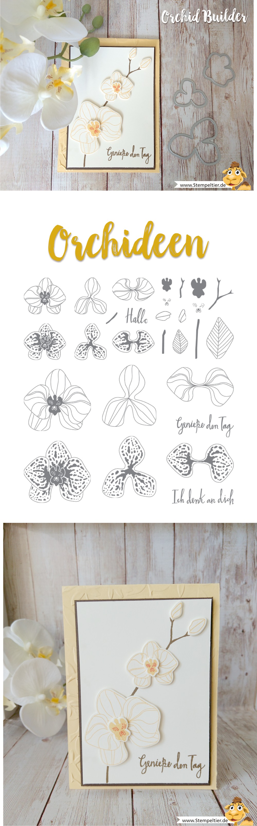 stampin up blog orchideen climbing orchid orchideenzweig orchid builder stempeltier verpacken