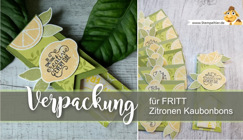 stampin up anleitung verpackung video lemon zest zitronen fritt goodie how to limette papierschneider maße stempeltie