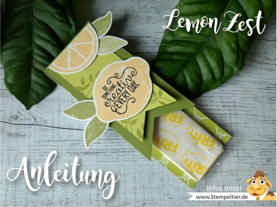 stampin up anleitung verpackung video lemon zest zitronen stanze fritt mitbringsel goodie how to limette papierschneider maße stempeltier