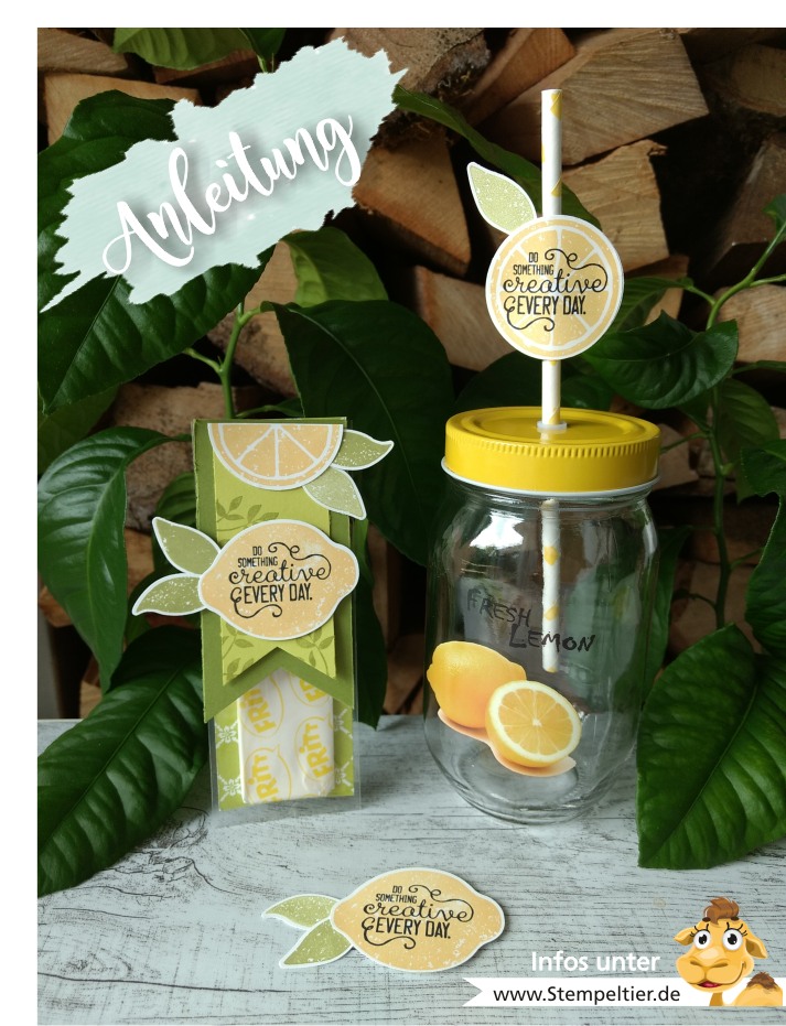 stampin up anleitung verpackung video lemon zest zitronen stanze fritt mitbringsel goodie how to limette papierschneider stempeltier